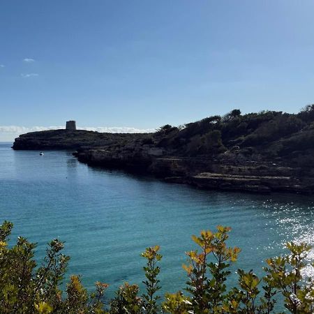 La Calma Espectacular Villa Con Jardin Y Piscina En Menorca ซัลการ์ ภายนอก รูปภาพ