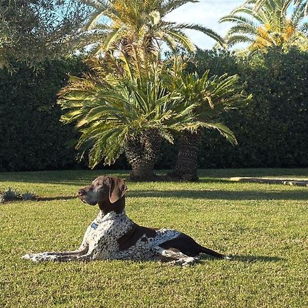 La Calma Espectacular Villa Con Jardin Y Piscina En Menorca ซัลการ์ ภายนอก รูปภาพ