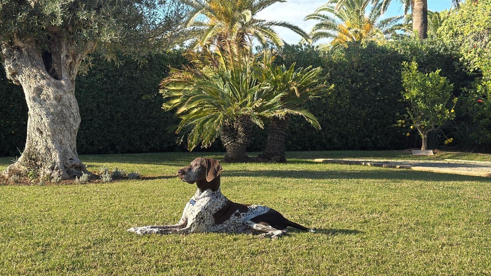 La Calma Espectacular Villa Con Jardin Y Piscina En Menorca ซัลการ์ ภายนอก รูปภาพ